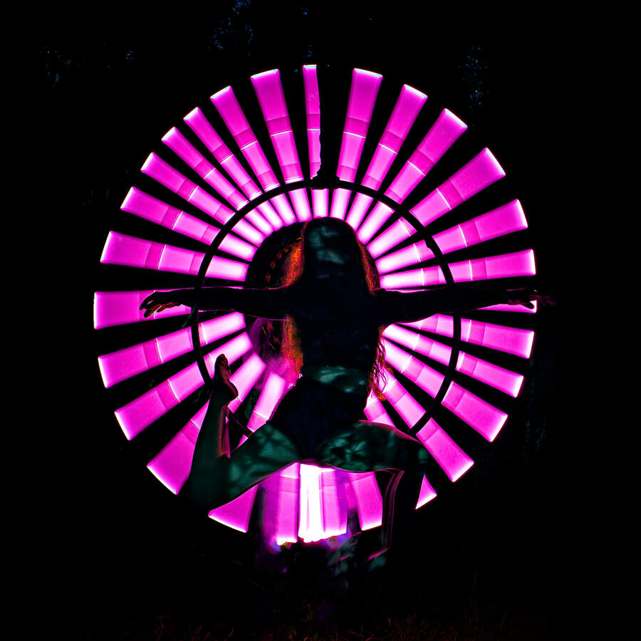 Burtch Trees Photography