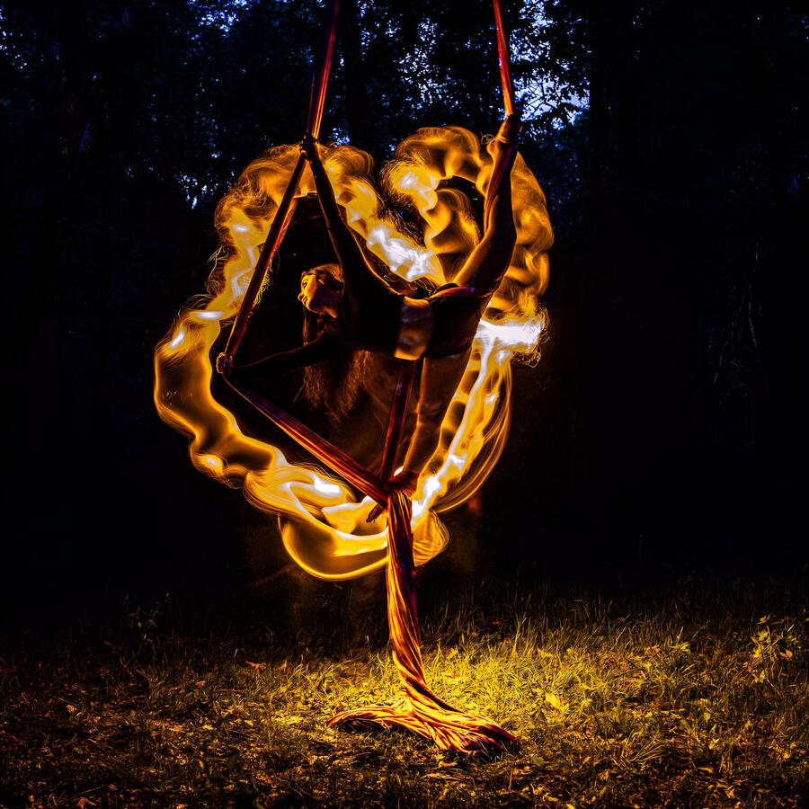 Burtch Trees Photography